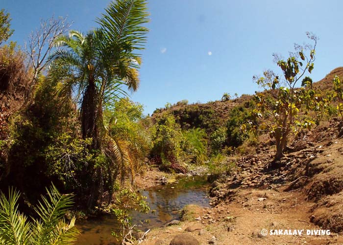 visites à Nosy Be